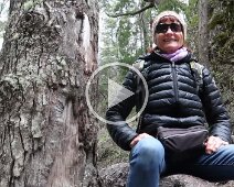 MVI_6396_done 19/11/2019 - Vidéo - Seuls les sexagénaires inconscients se filment en équilibre sur des troncs. C'est pour le plaisir de vos yeux que je prends des risques...